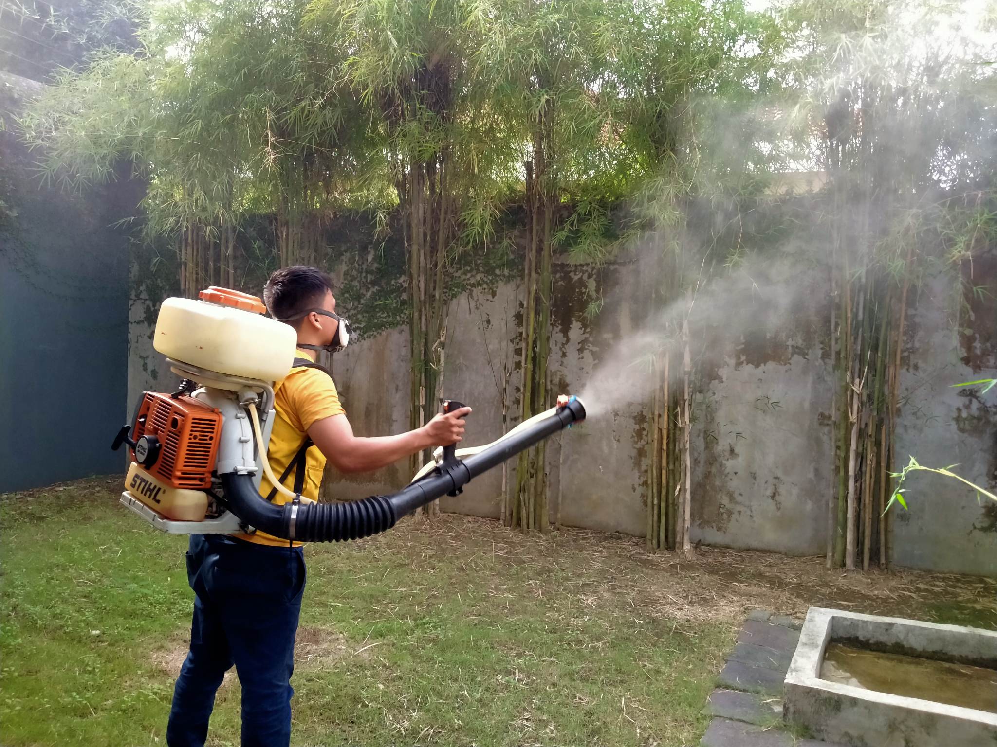 mosquito control iloilo