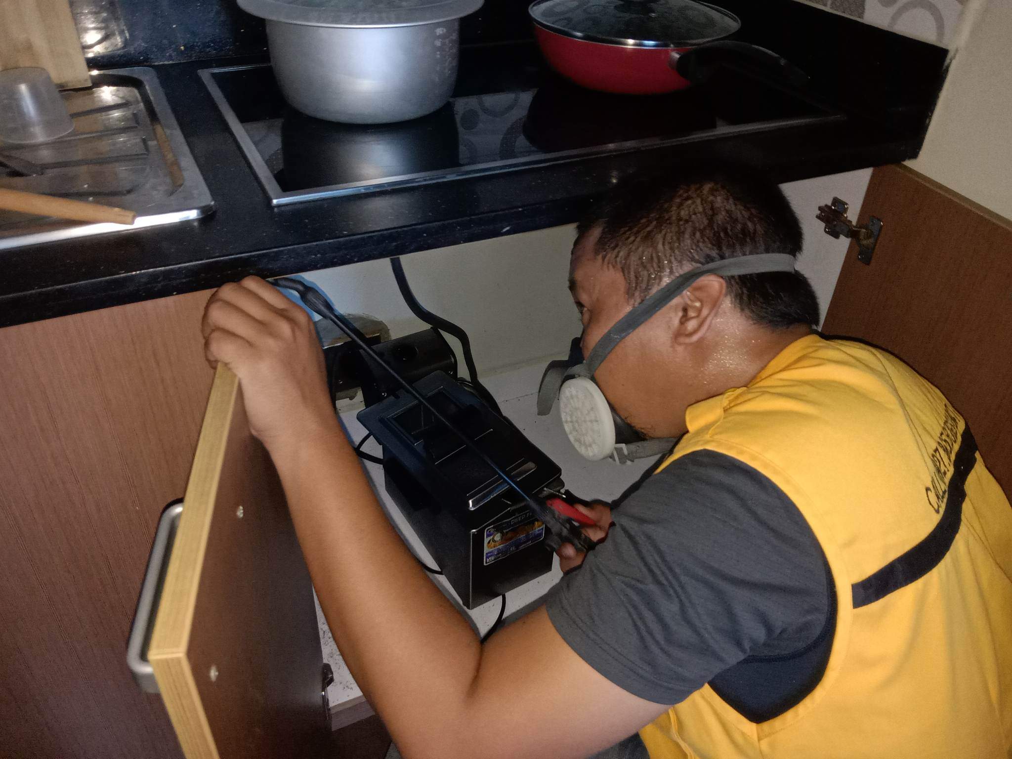 cockroach control in Iloilo