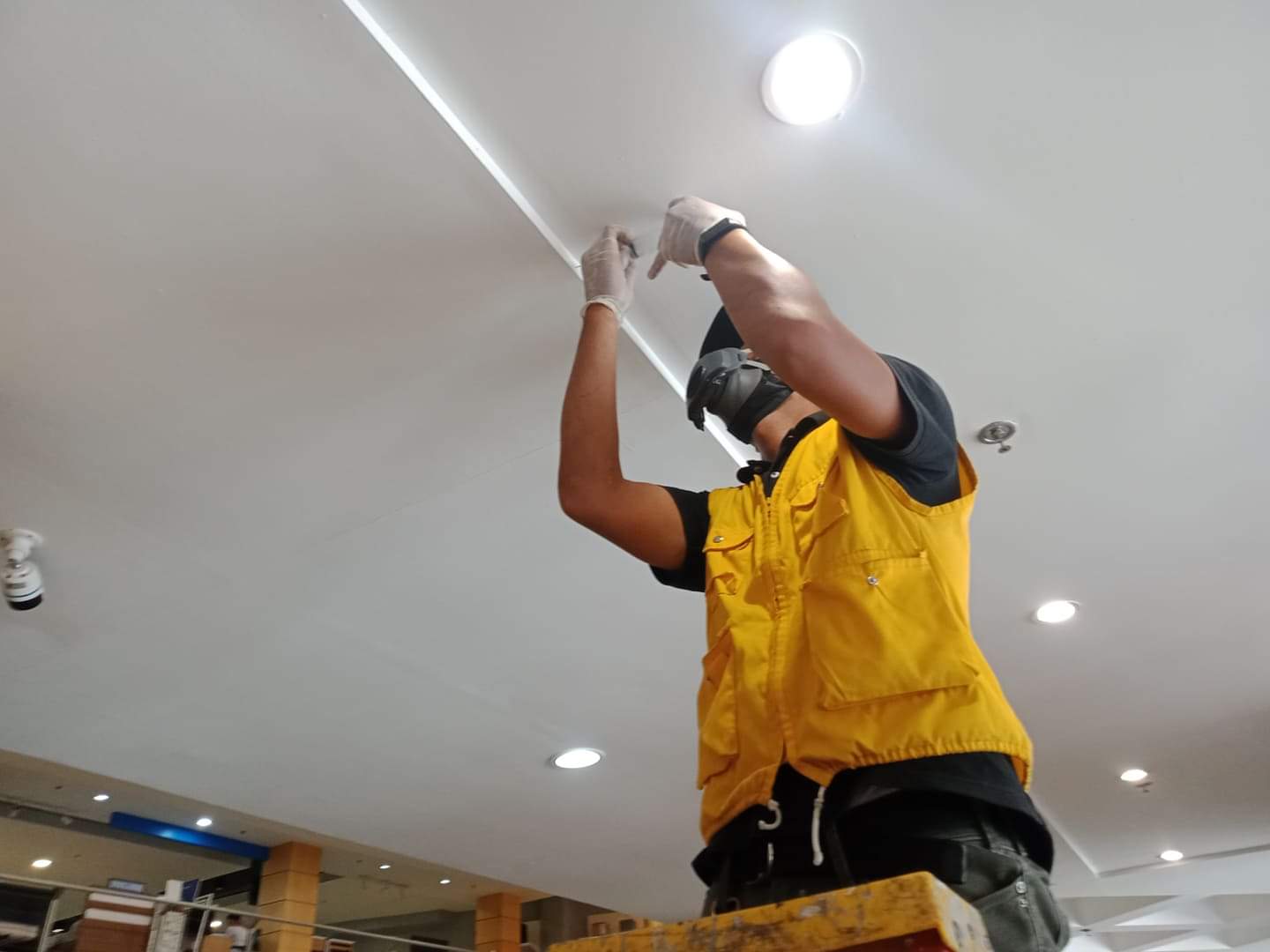 drywood termite control