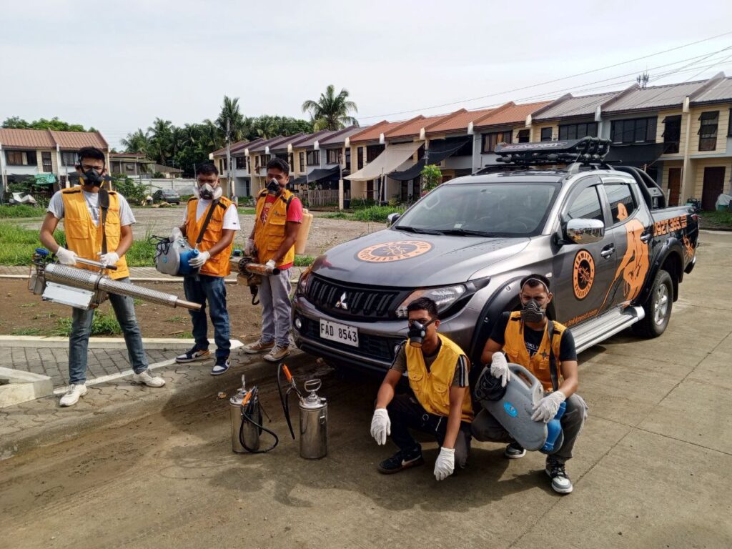 iloilo pest control expert iloilo pest control experts